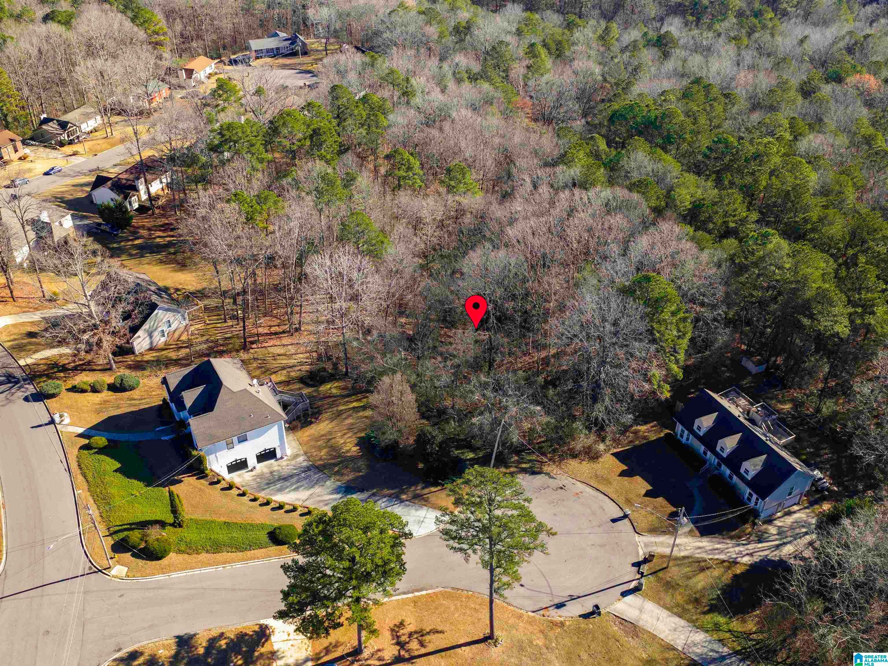 1005 TIMBERLINE TRAIL 17