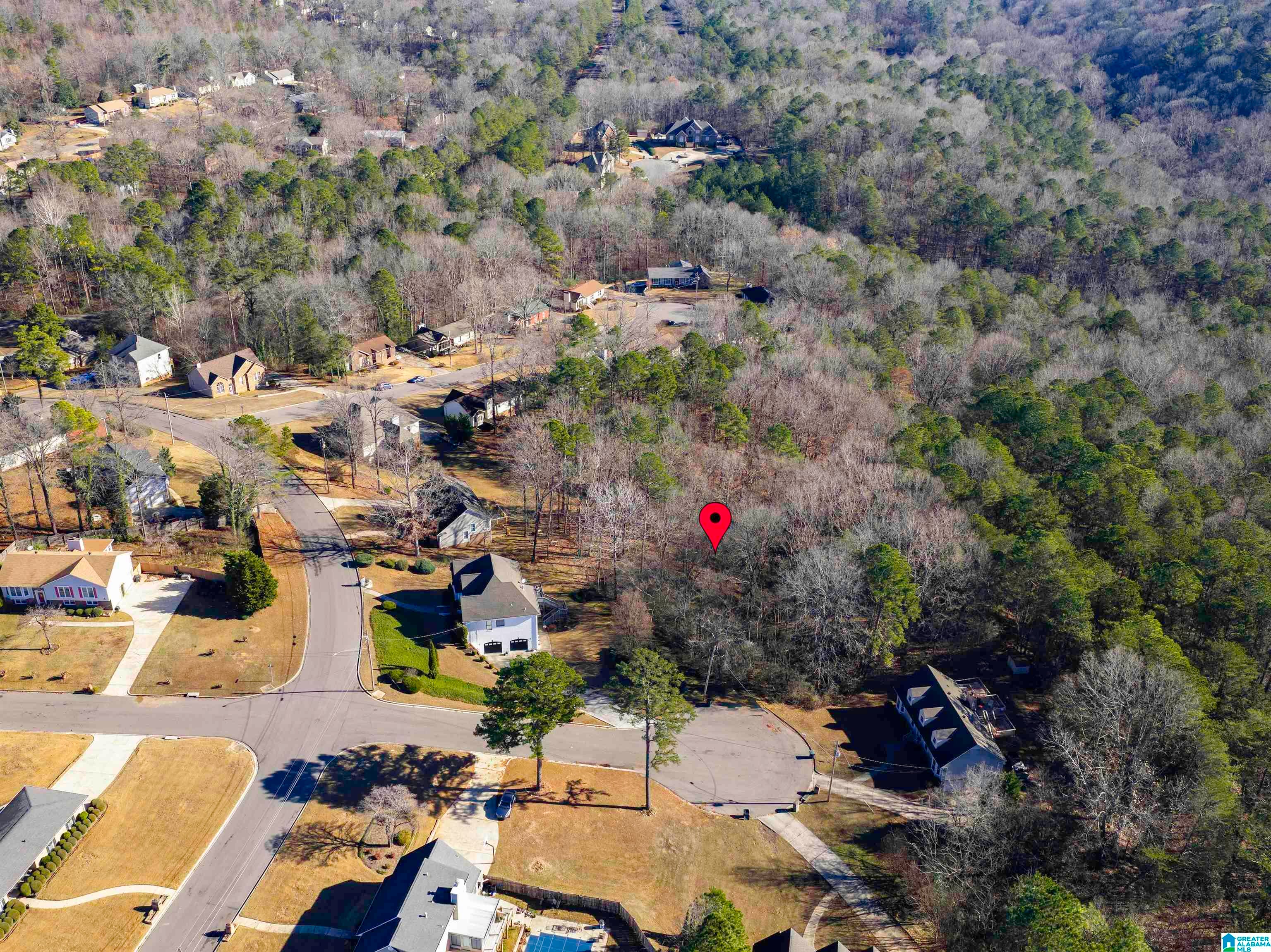 1005 TIMBERLINE TRAIL 17