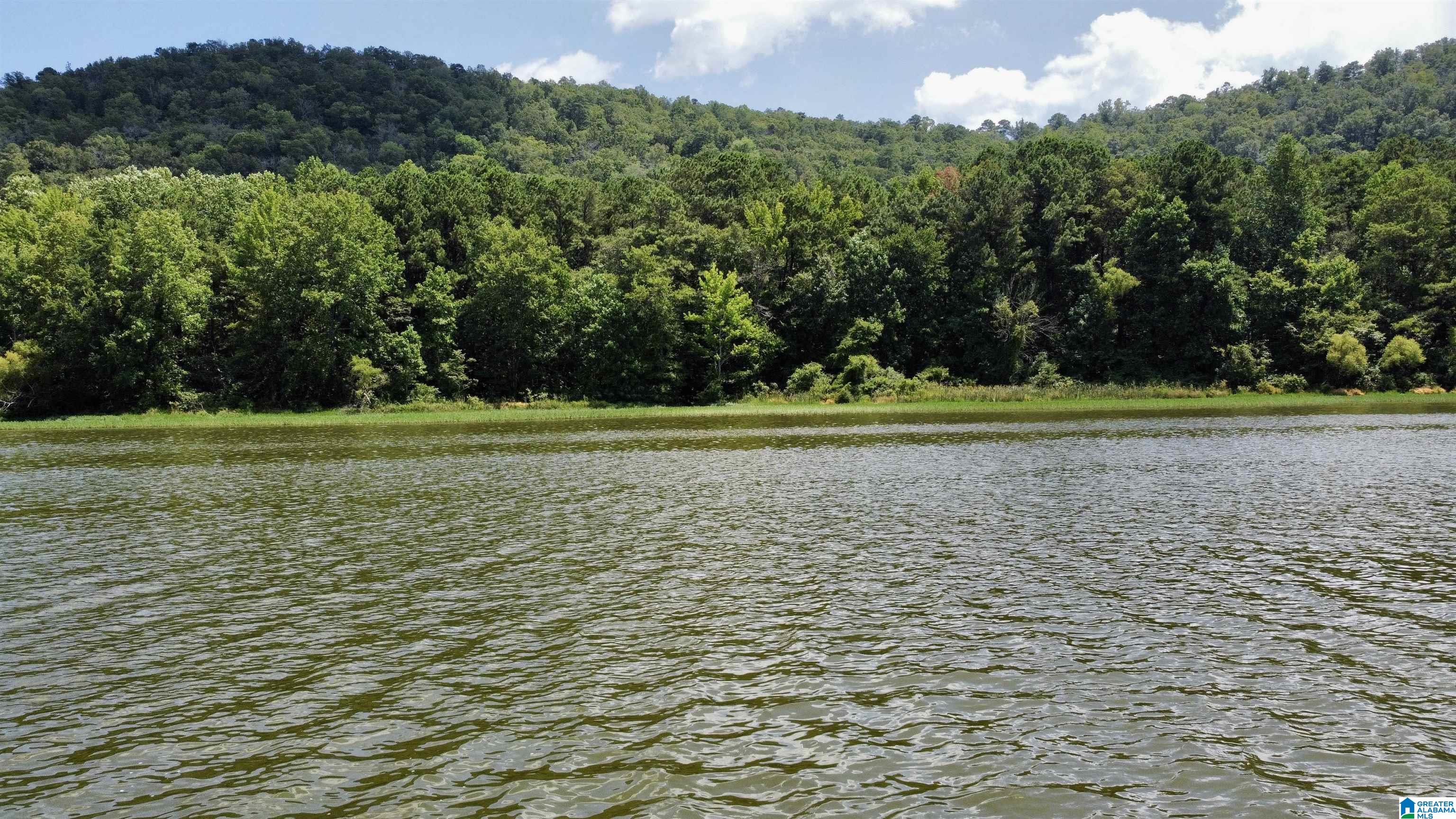 148 acres COUNTY ROAD 21 2 parcels