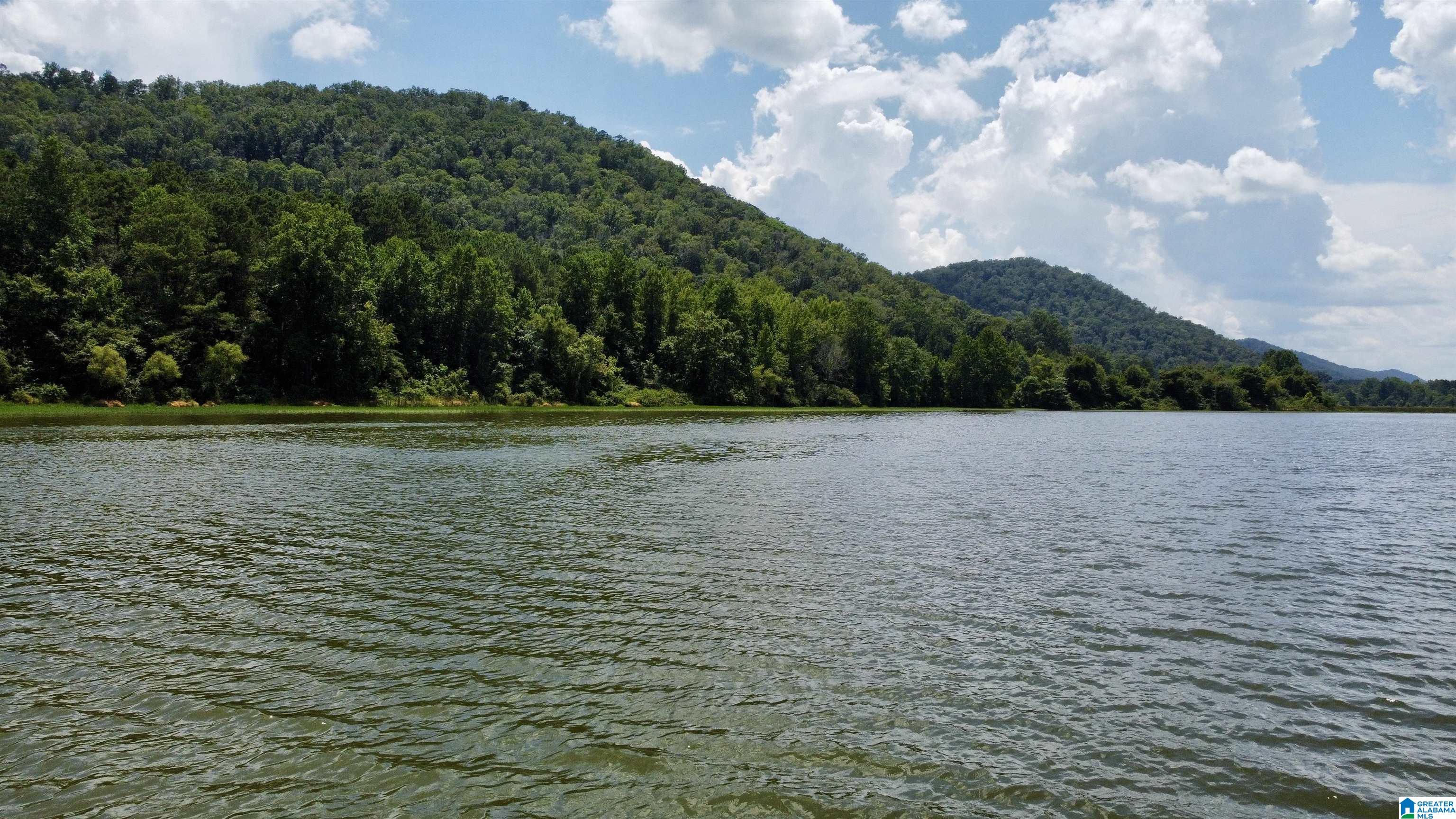 148 acres COUNTY ROAD 21 2 parcels