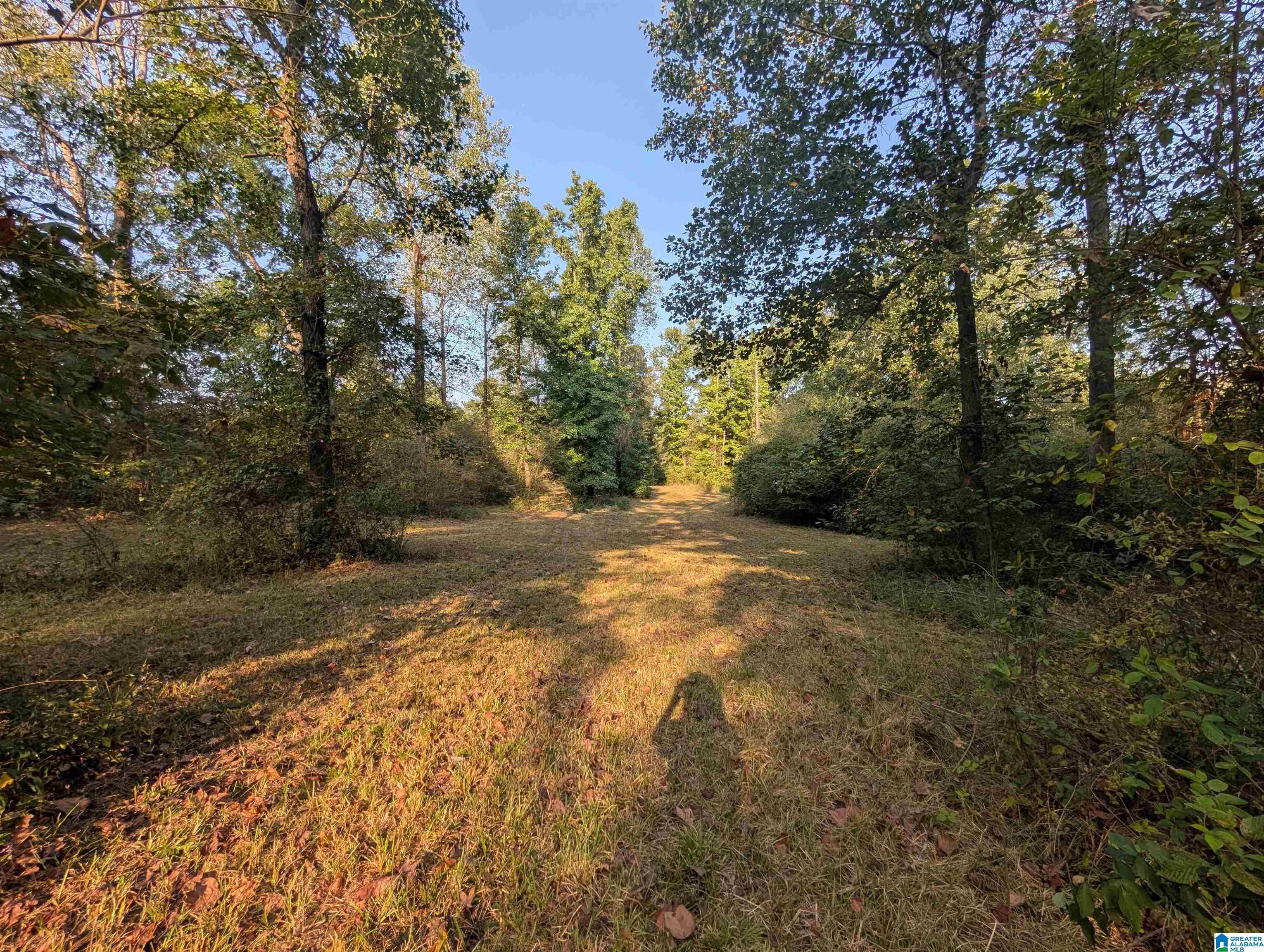 591 MCCLAIN ROAD 2