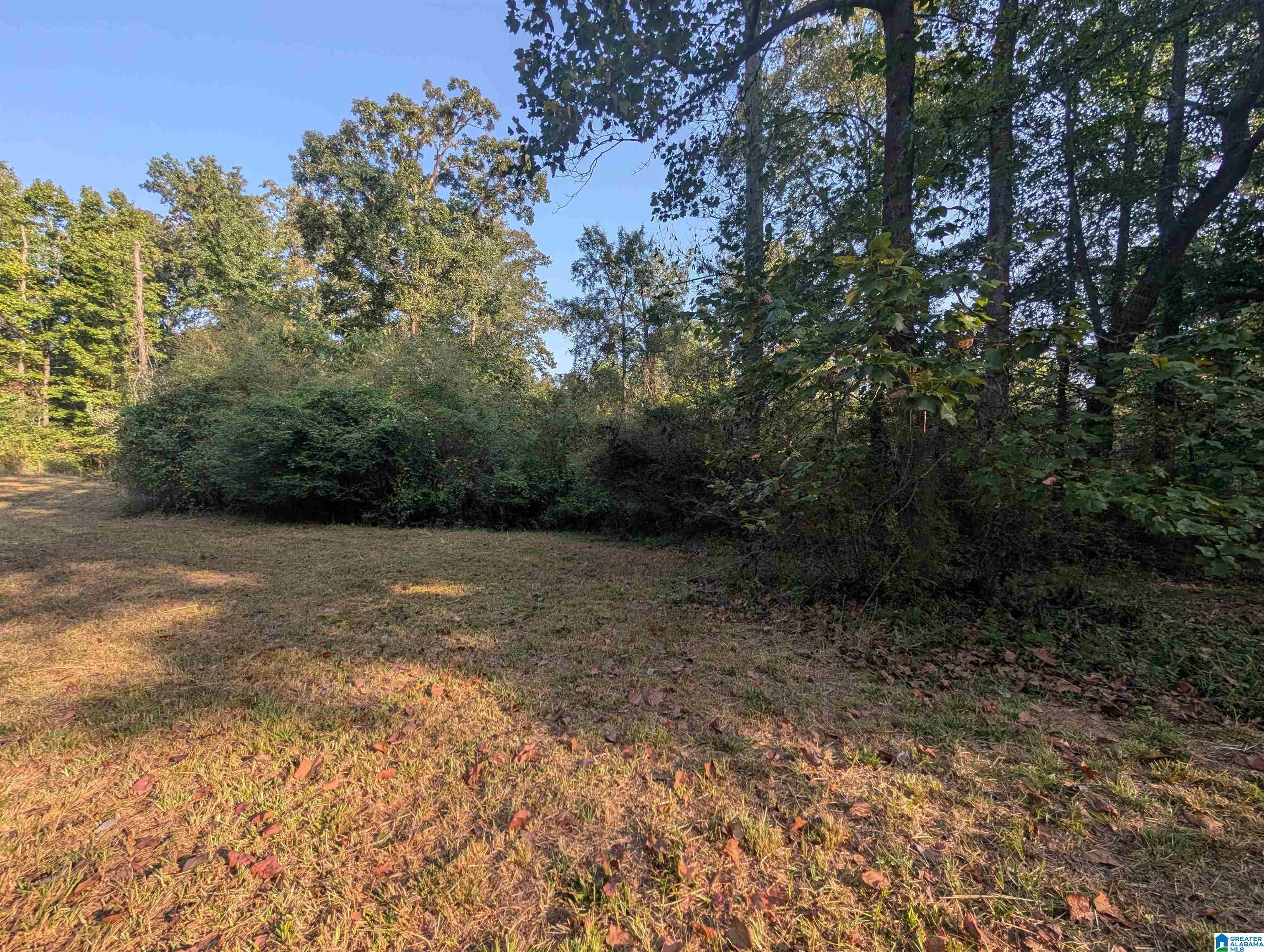 591 MCCLAIN ROAD 2