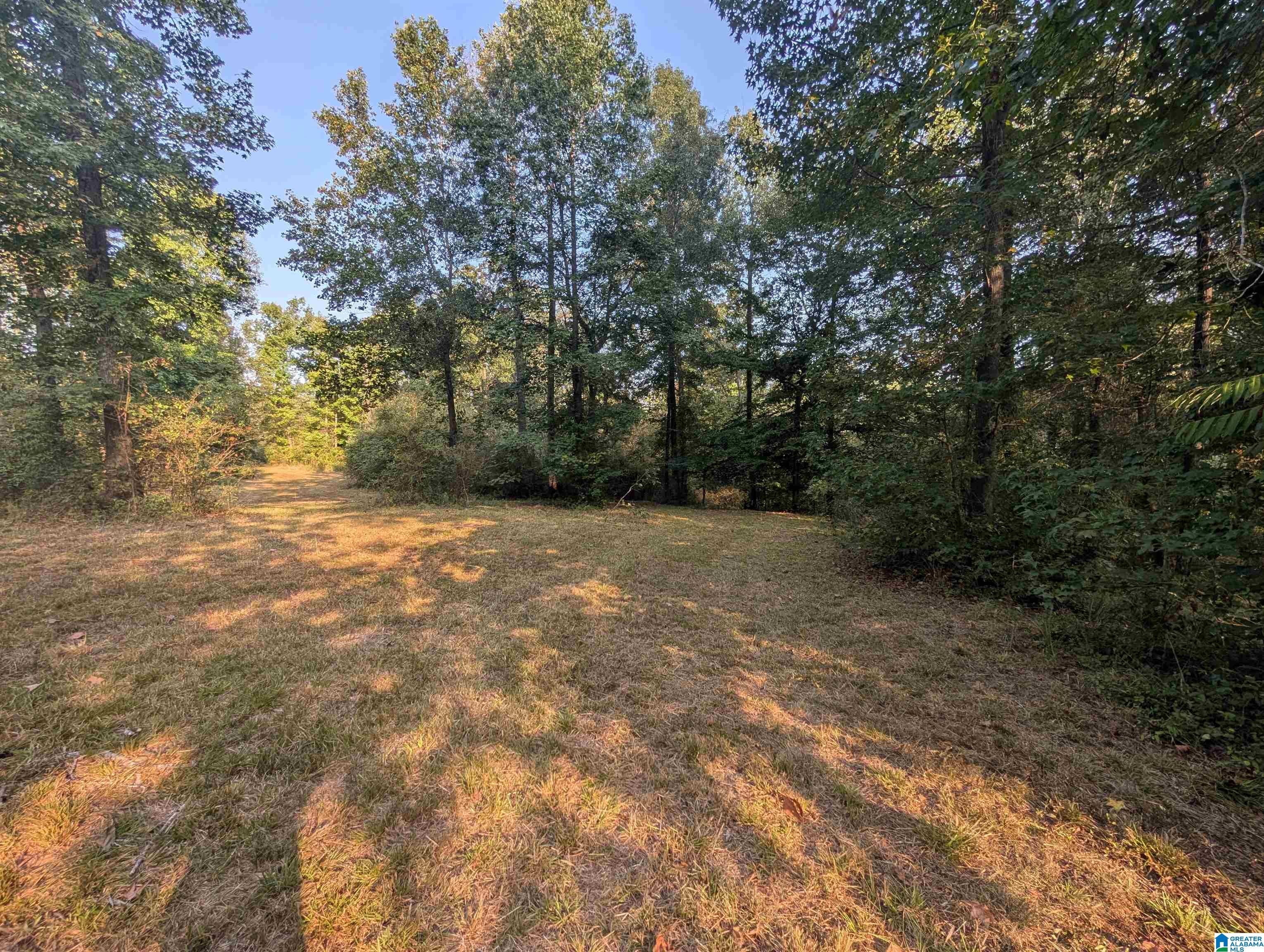 591 MCCLAIN ROAD 2