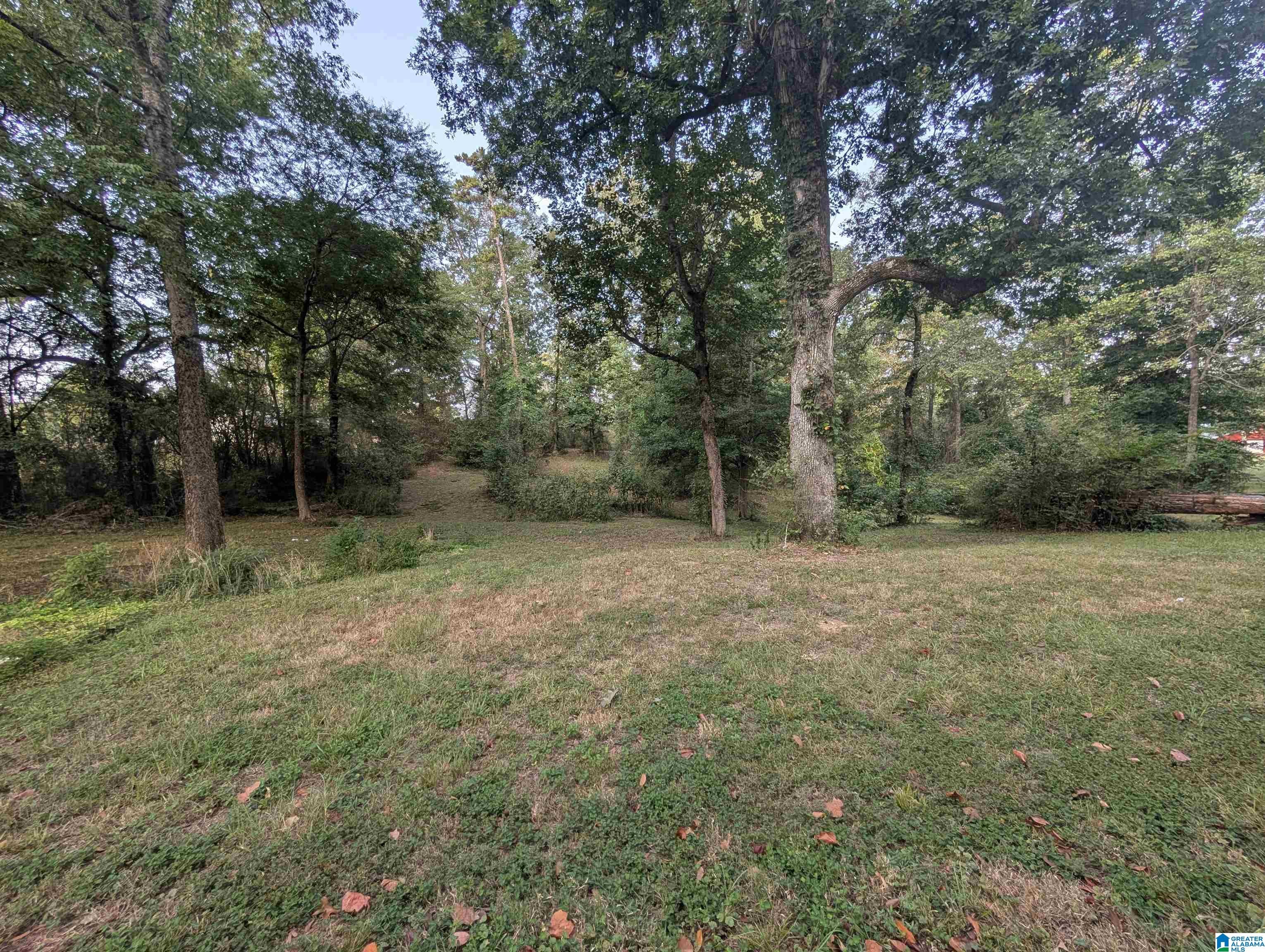 591 MCCLAIN ROAD 2