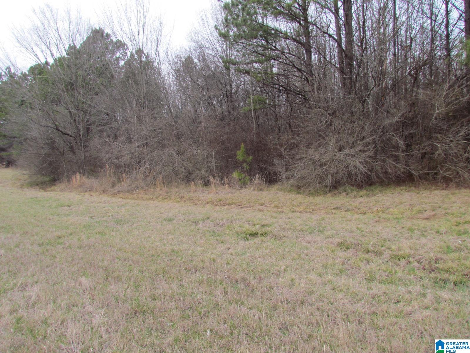 Photo 1 of 5 — 0 HIGHWAY 280 1, HARPERSVILLE, AL 35078