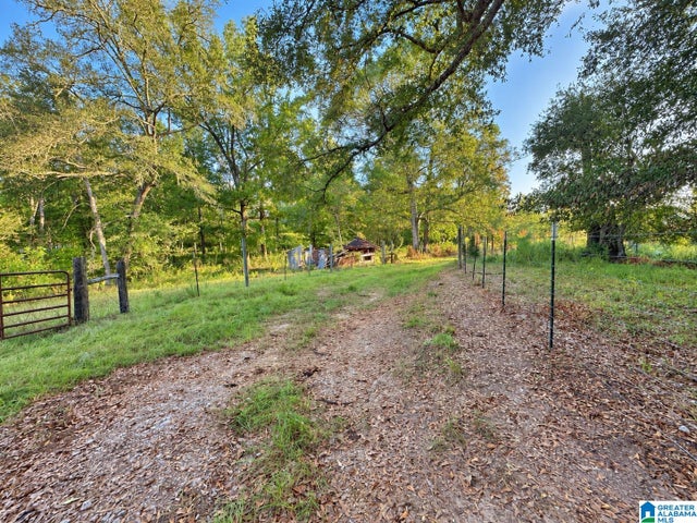 0 COUNTY ROAD 319 2