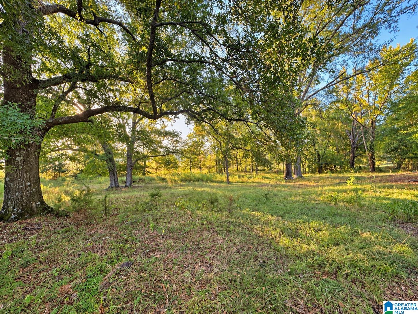 0 COUNTY ROAD 319 2 - Photo 2