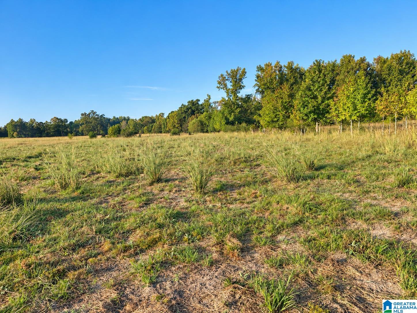 0 COUNTY ROAD 319 2 - Photo 3