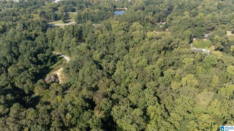 0 MAGNOLIA CIRCLE 0 CENTREVILLE AL 35042