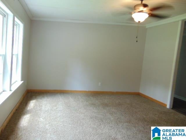 33679 AL HIGHWAY 22 - Photo 3