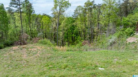 832 MOUNTAINVIEW DRIVE 105 GARDENDALE AL 35071