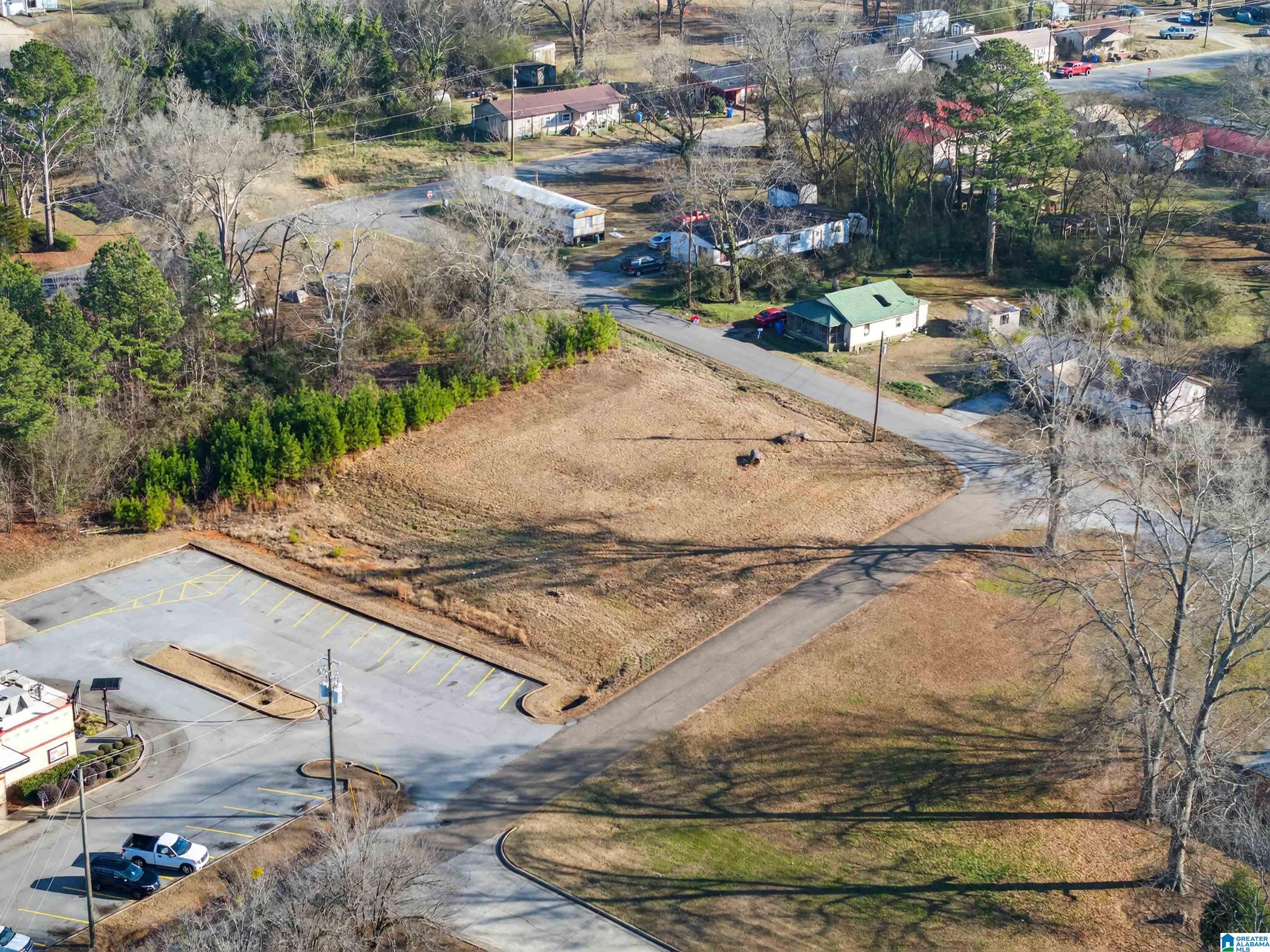 Photo 1 of 12 — 0 SWANN STREET 14, 15, 16, PIEDMONT, AL 36272