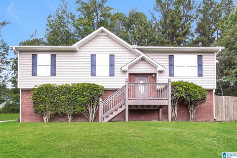 10 PATRICK STREET ODENVILLE AL 35120