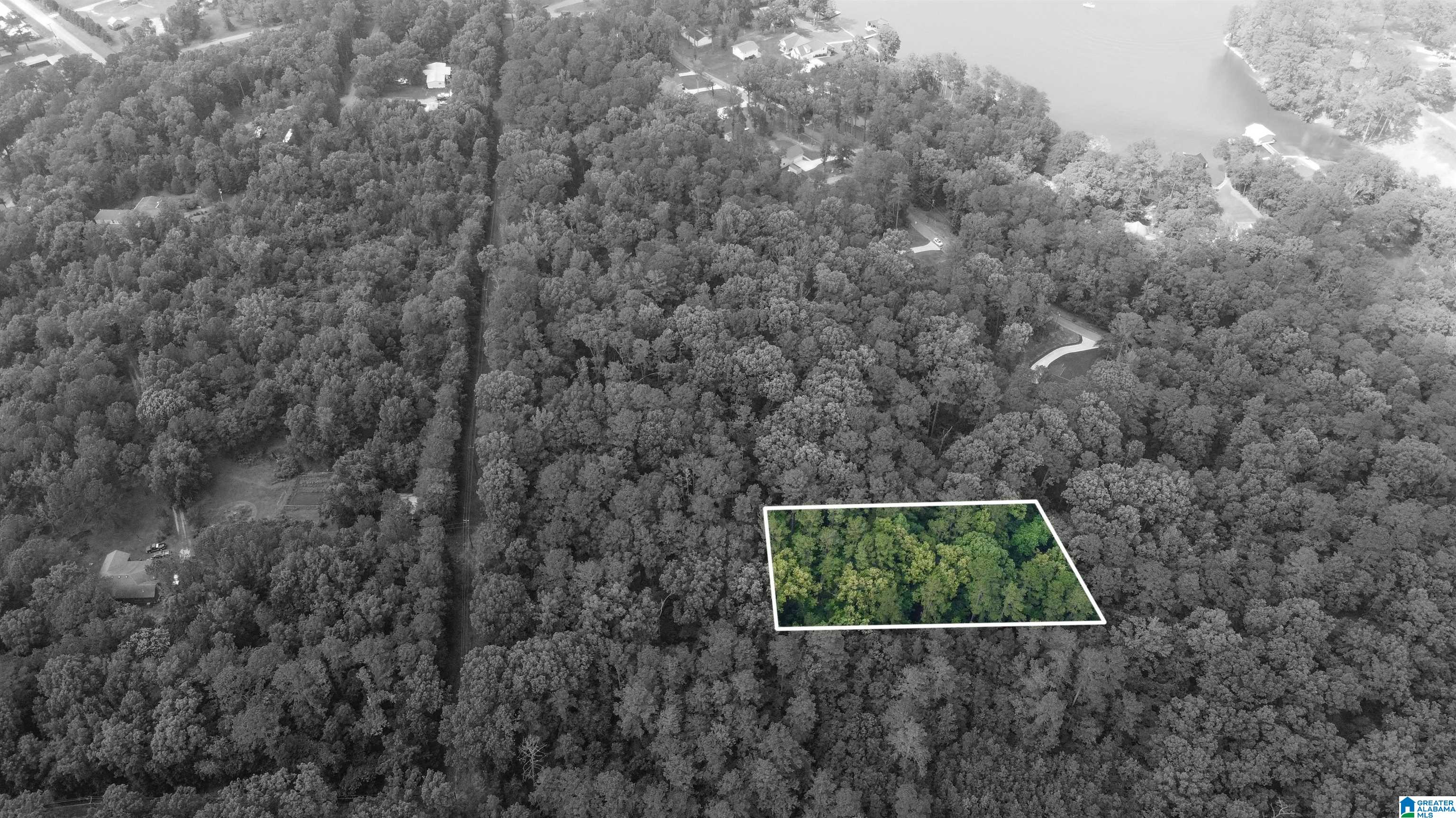 70 CHOICE CIRCLE 12-19