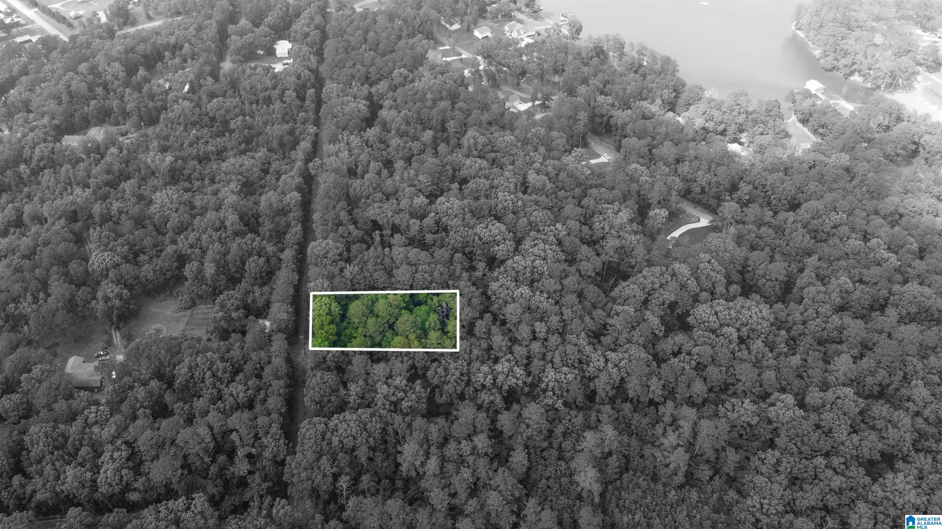 70 CHOICE CIRCLE 12-19