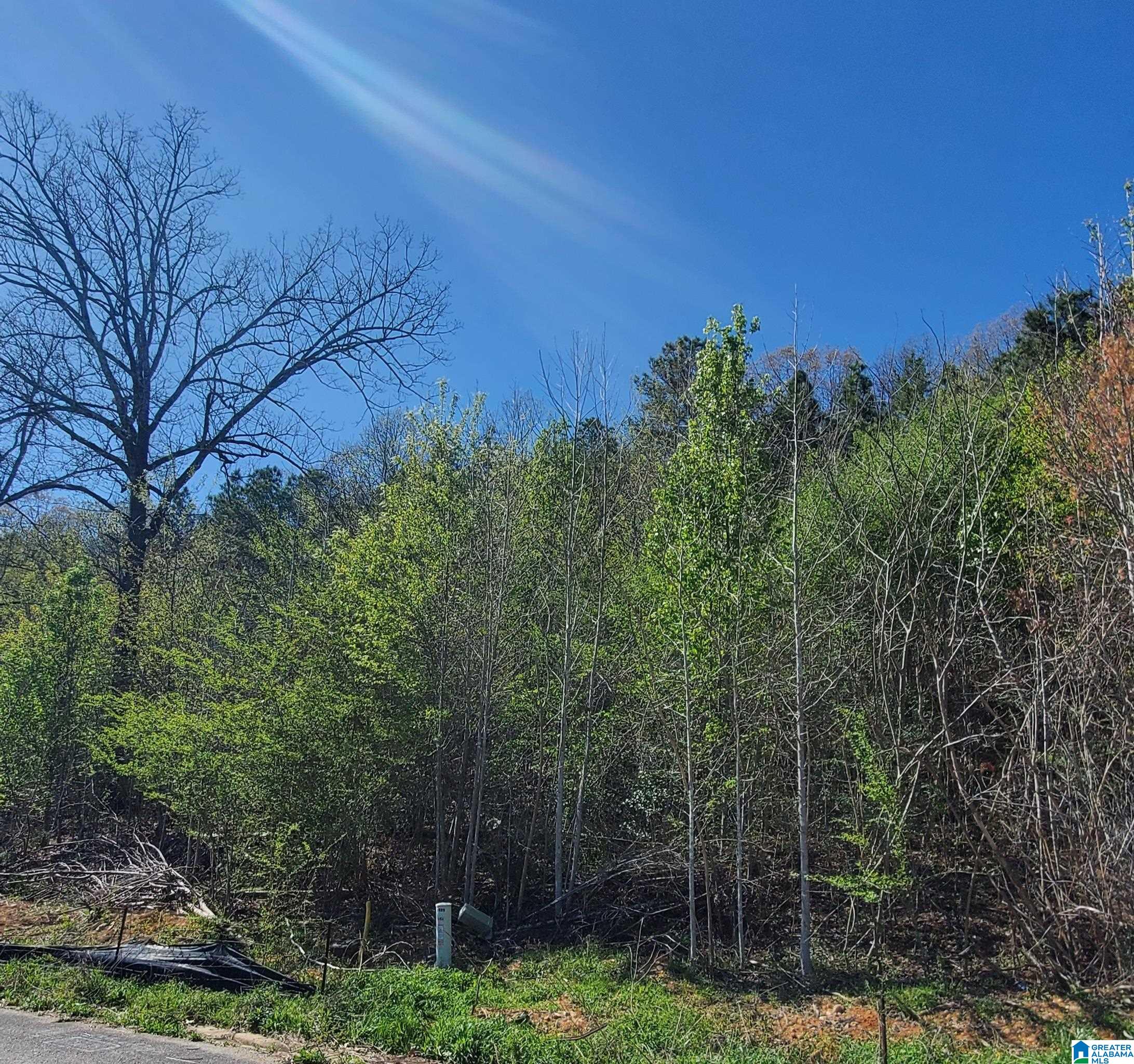 Photo 1 of 1 — 5924 HIGH FOREST DRIVE 79, MCCALLA, AL 35111