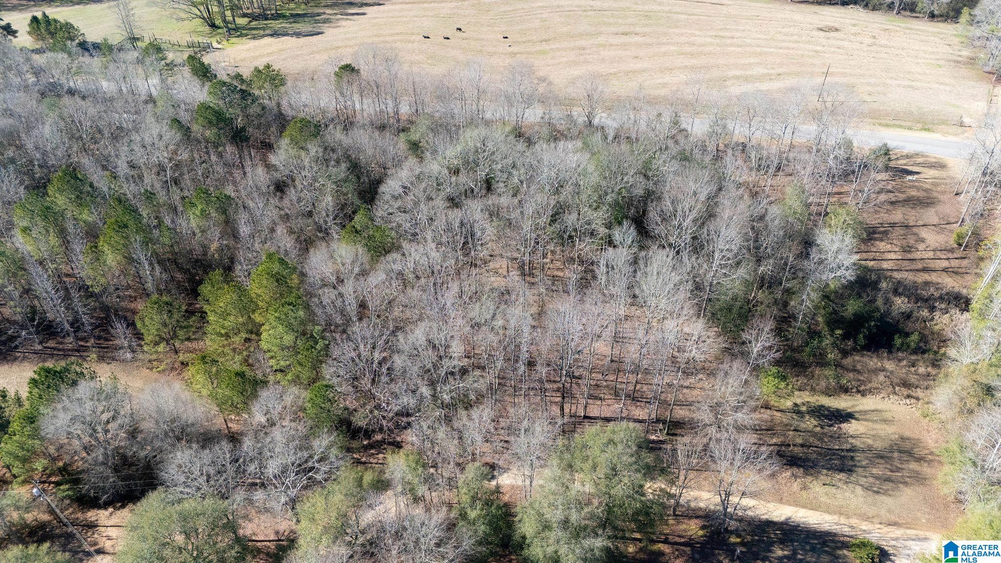 0 CAMPGROUND ROAD 30