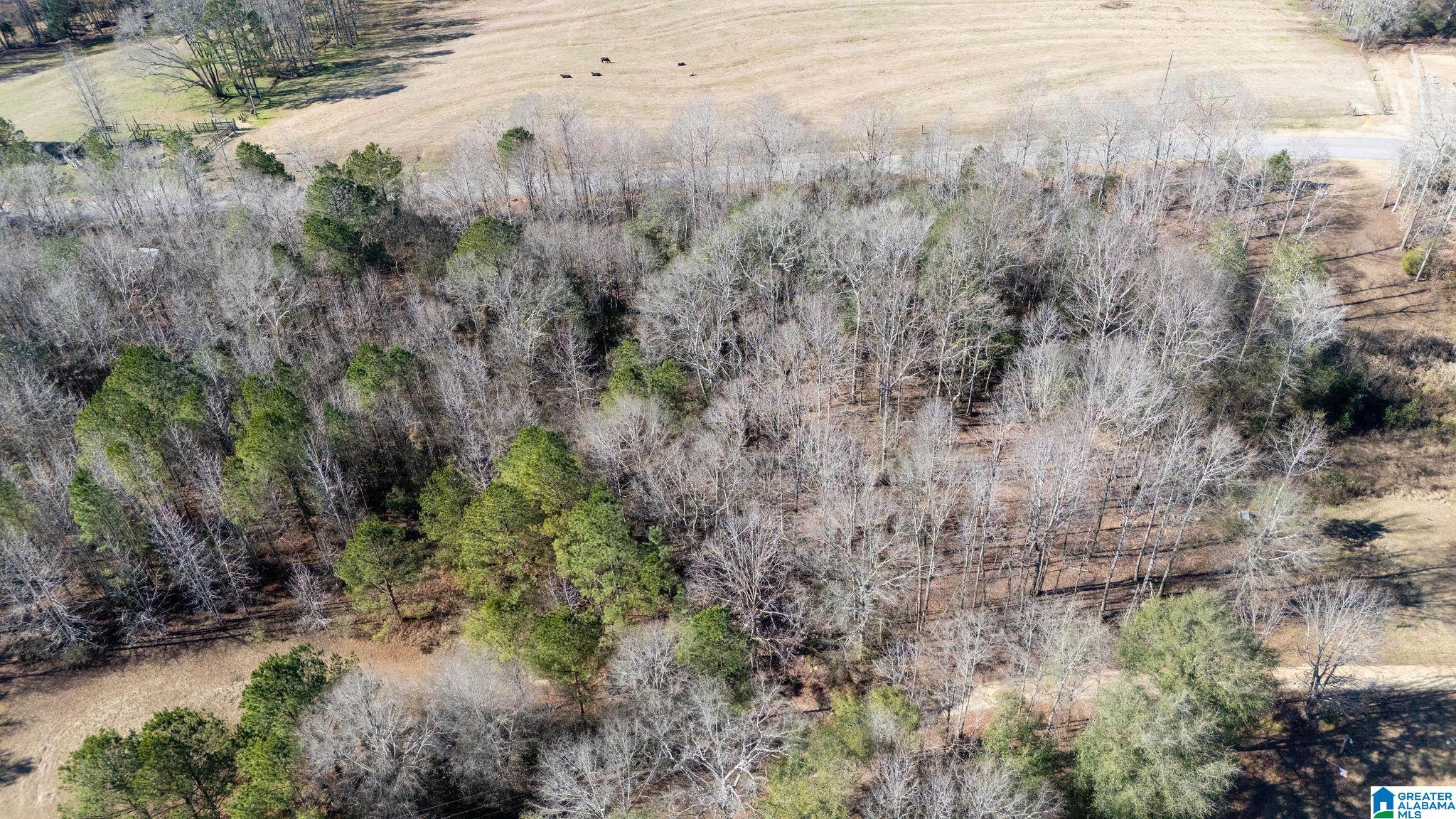 0 CAMPGROUND ROAD 30