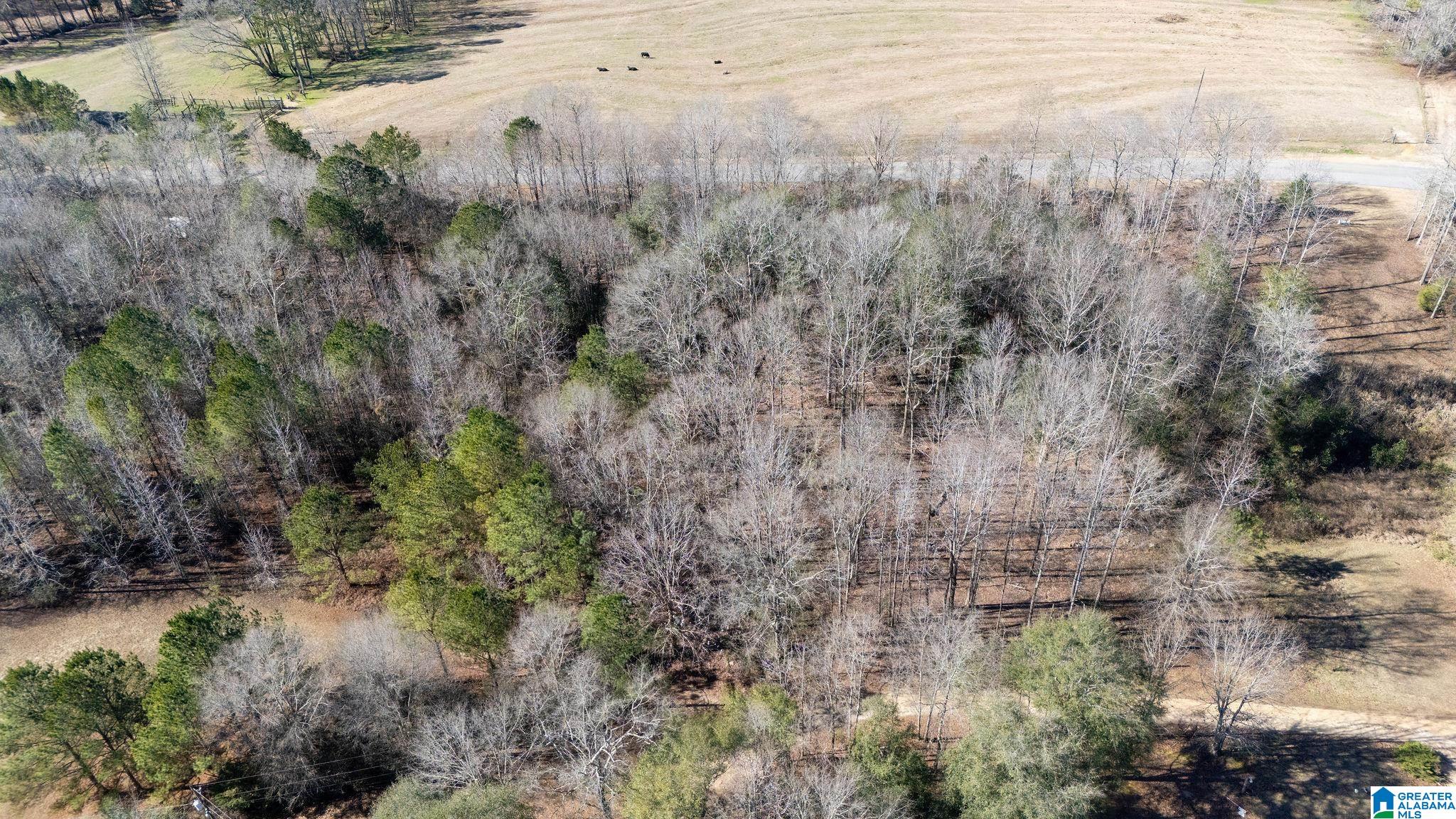 0 CAMPGROUND ROAD 30