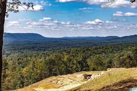 HILL TOP LANE 1 LEEDS AL 35094