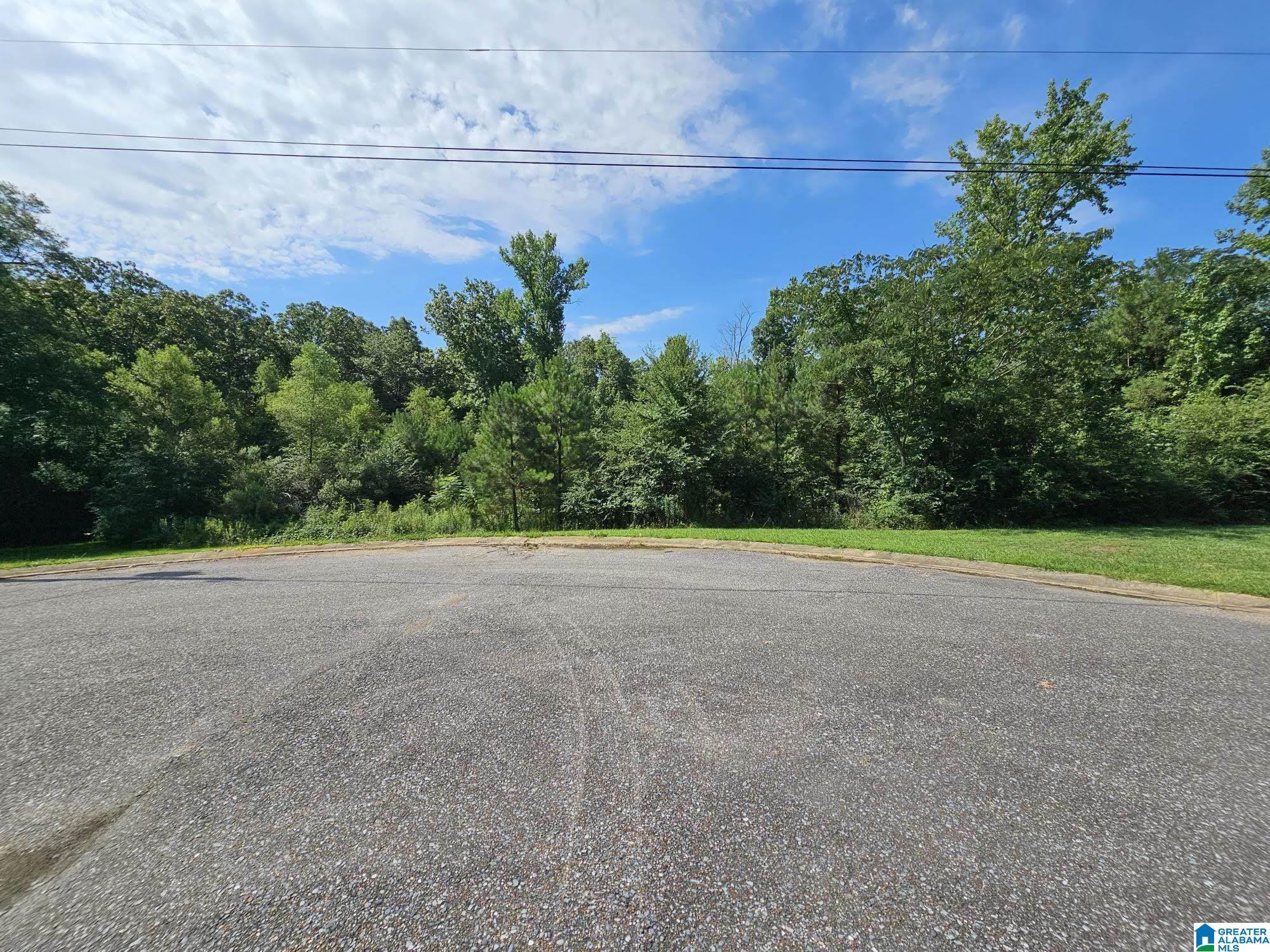 Photo 1 of 1 — Lot 17 WOODHAVEN WAY 17, PELL CITY, AL 35128