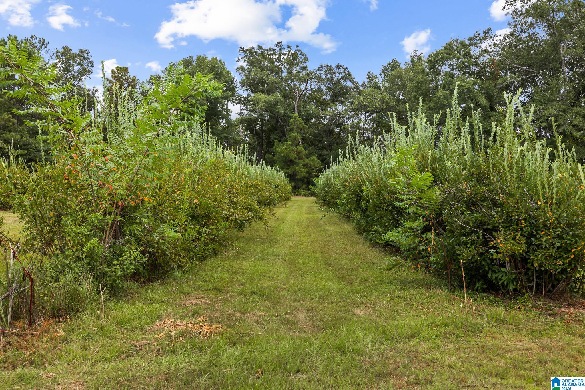 1049 COUNTY ROAD 108 - Photo 3
