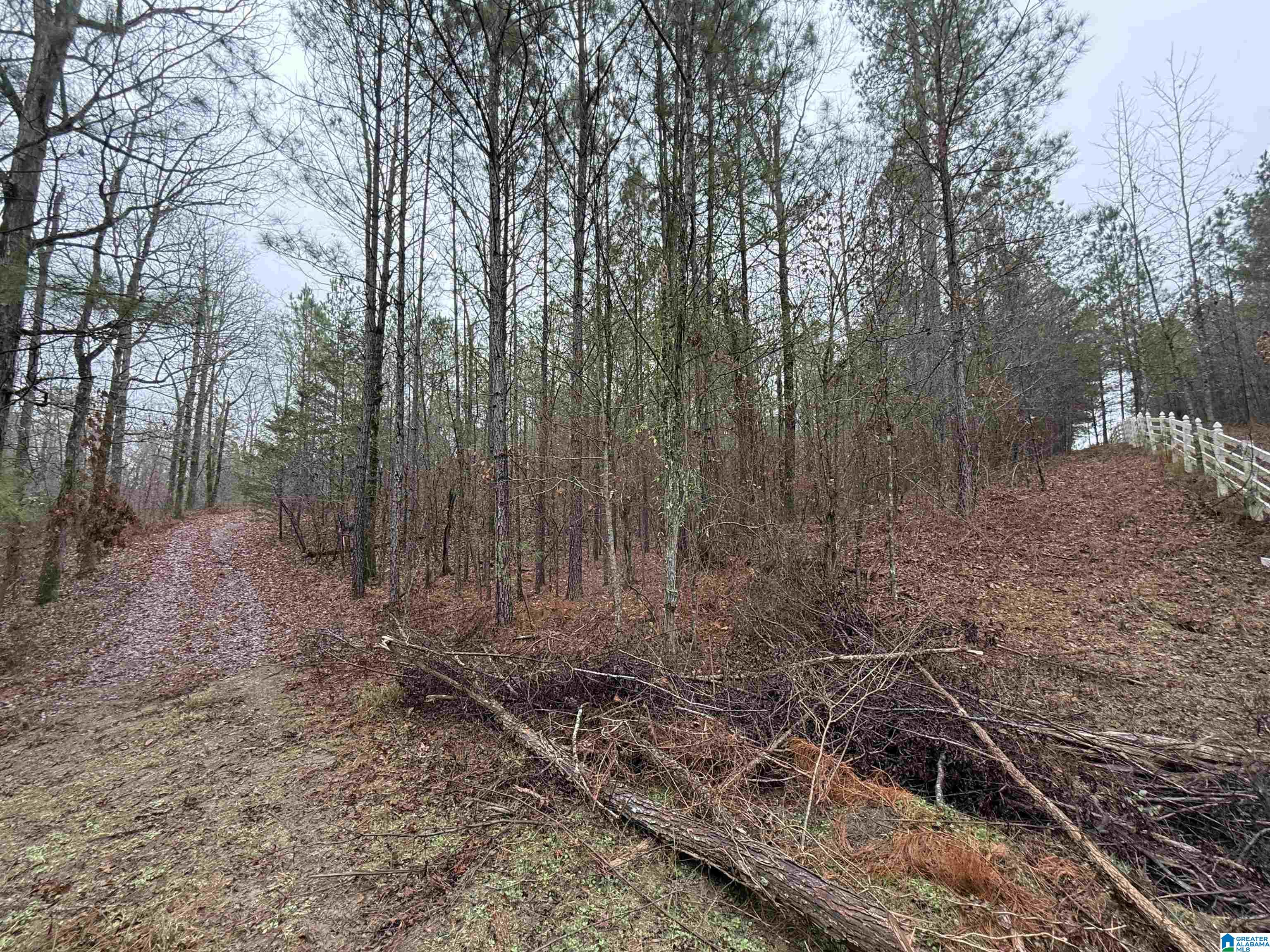 916 SHIRE VALLEY FARMS 1