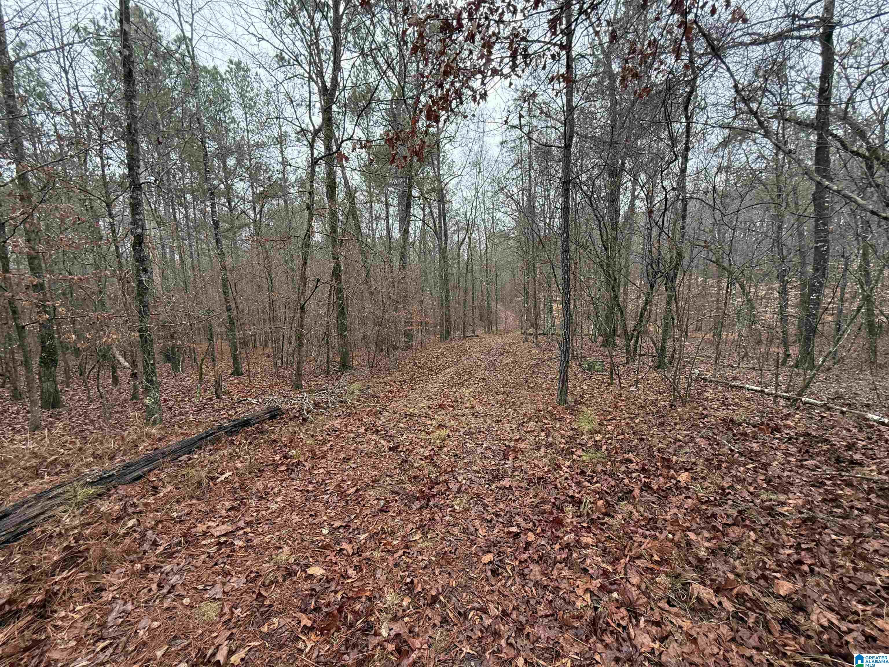 916 SHIRE VALLEY FARMS 1