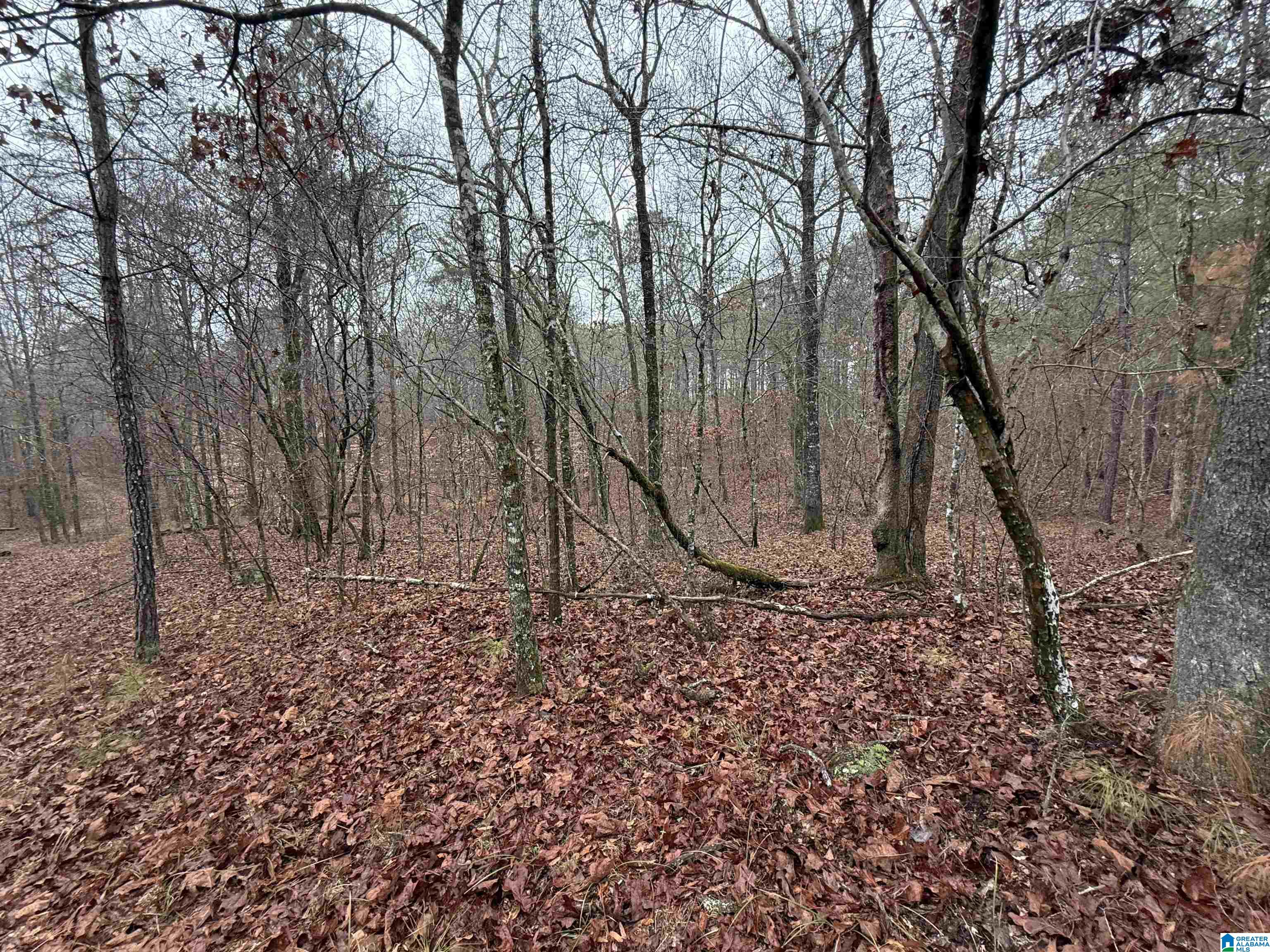 916 SHIRE VALLEY FARMS 1