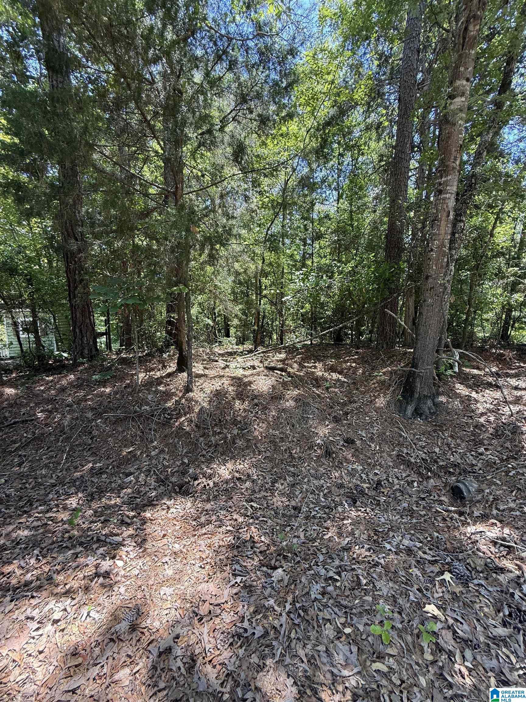 Lot 117 ASHBOROUGH DRIVE 117