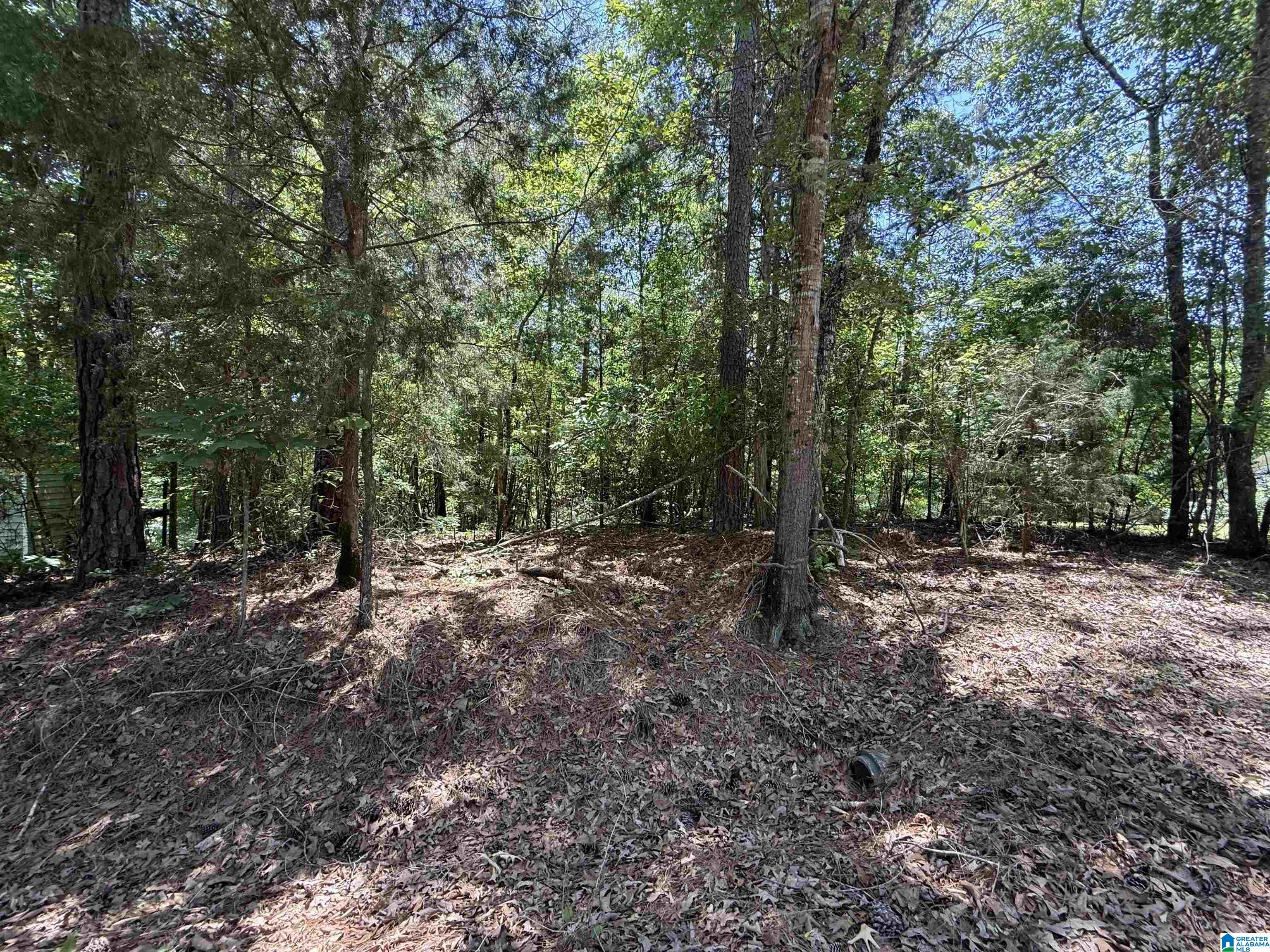 Lot 117 ASHBOROUGH DRIVE 117