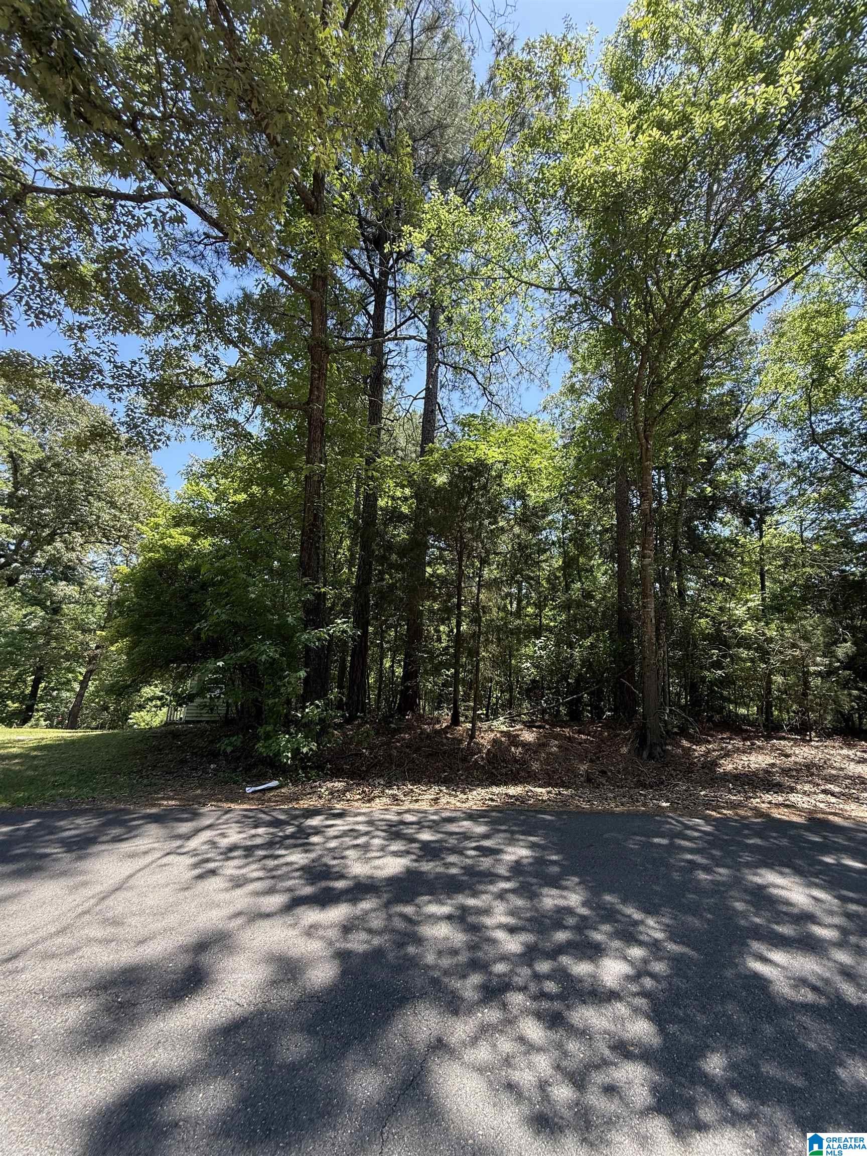 Lot 117 ASHBOROUGH DRIVE 117