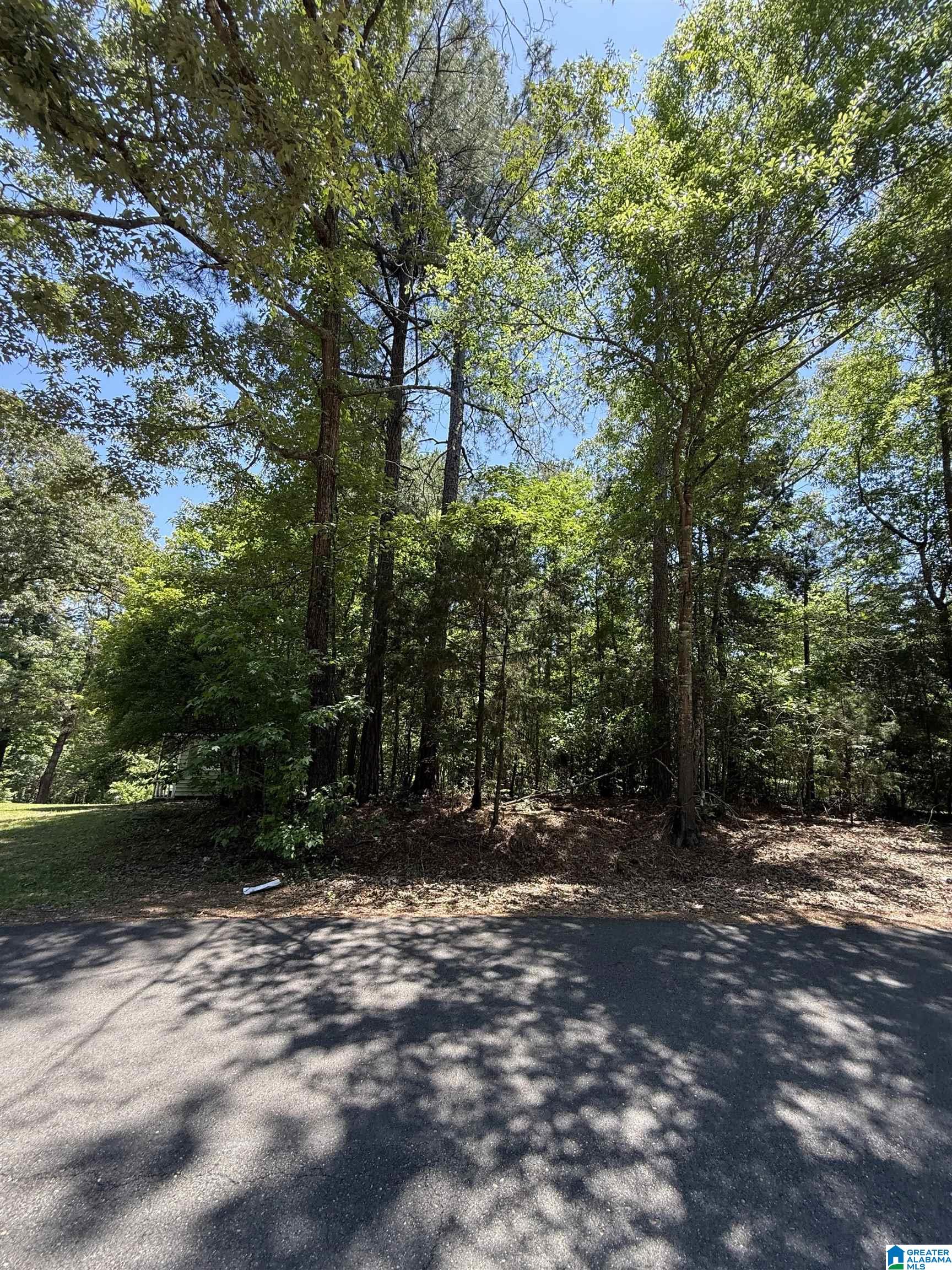 Lot 117 ASHBOROUGH DRIVE 117