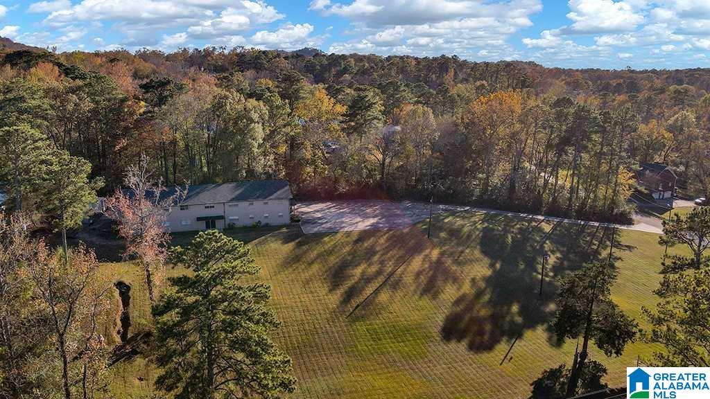 1123 BREWSTER ROAD