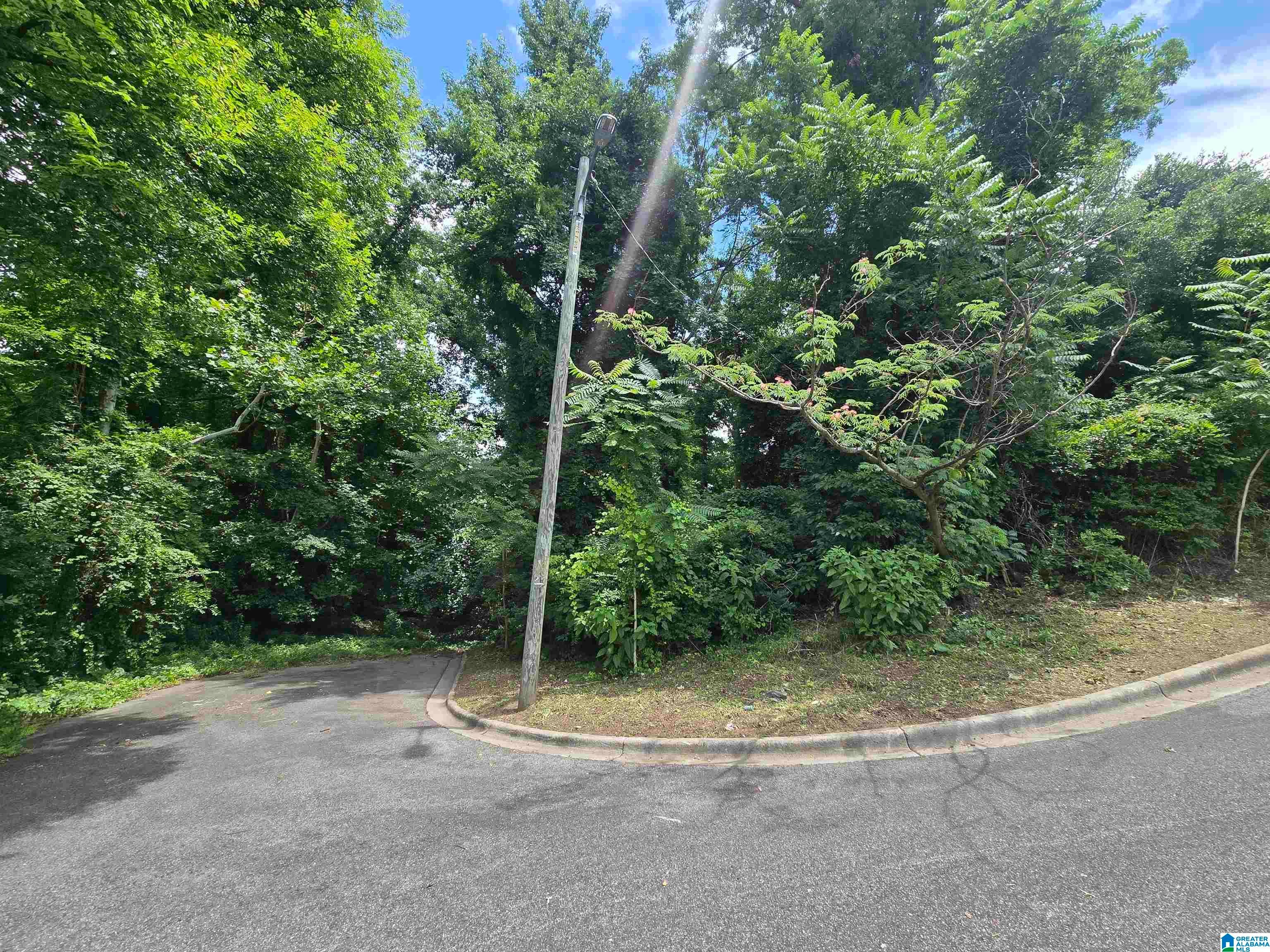 Photo 1 of 1 — 2507 MILES STREET 0, HOMEWOOD, AL 35209