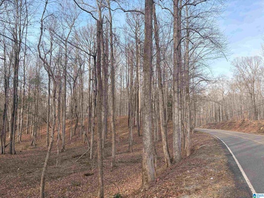 TRUMAN ALDRICH PKWY, WEST BLOCTON, AL 35184 - Image 86d36e765e8a1c9708ea5dbeb8c139e5/989203817