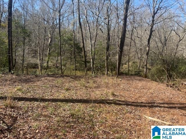 PATE ROAD Lot 7, 5.53± Ac