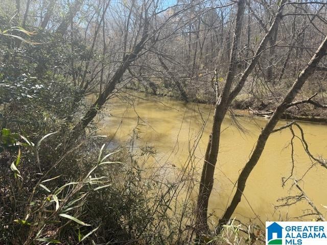 PATE ROAD Lot 7, 5.53± Ac
