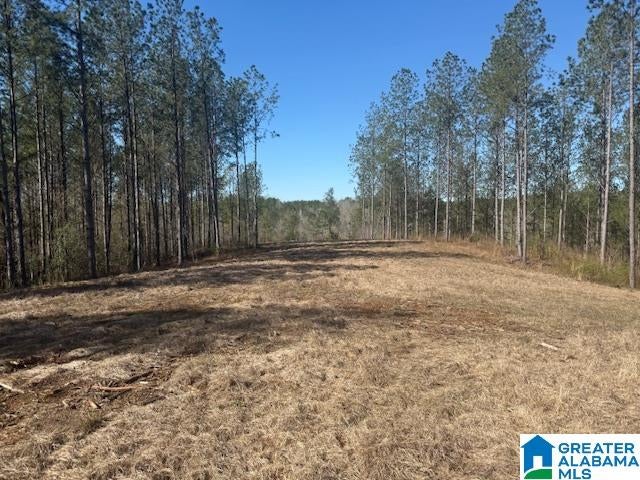 PATE ROAD Lot 7, 5.53± Ac