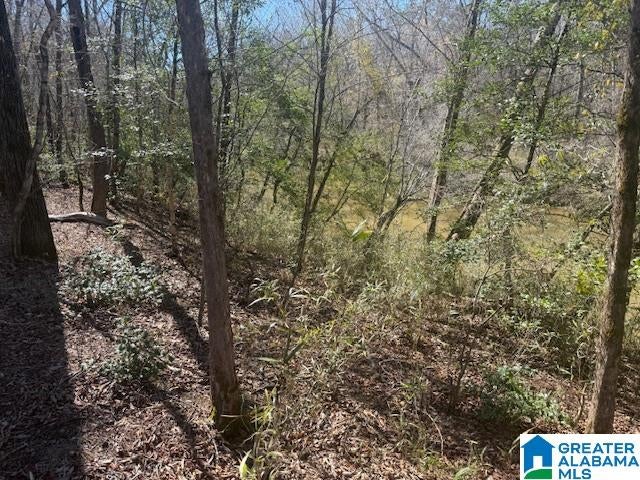 PATE ROAD Lot 7, 5.53± Ac
