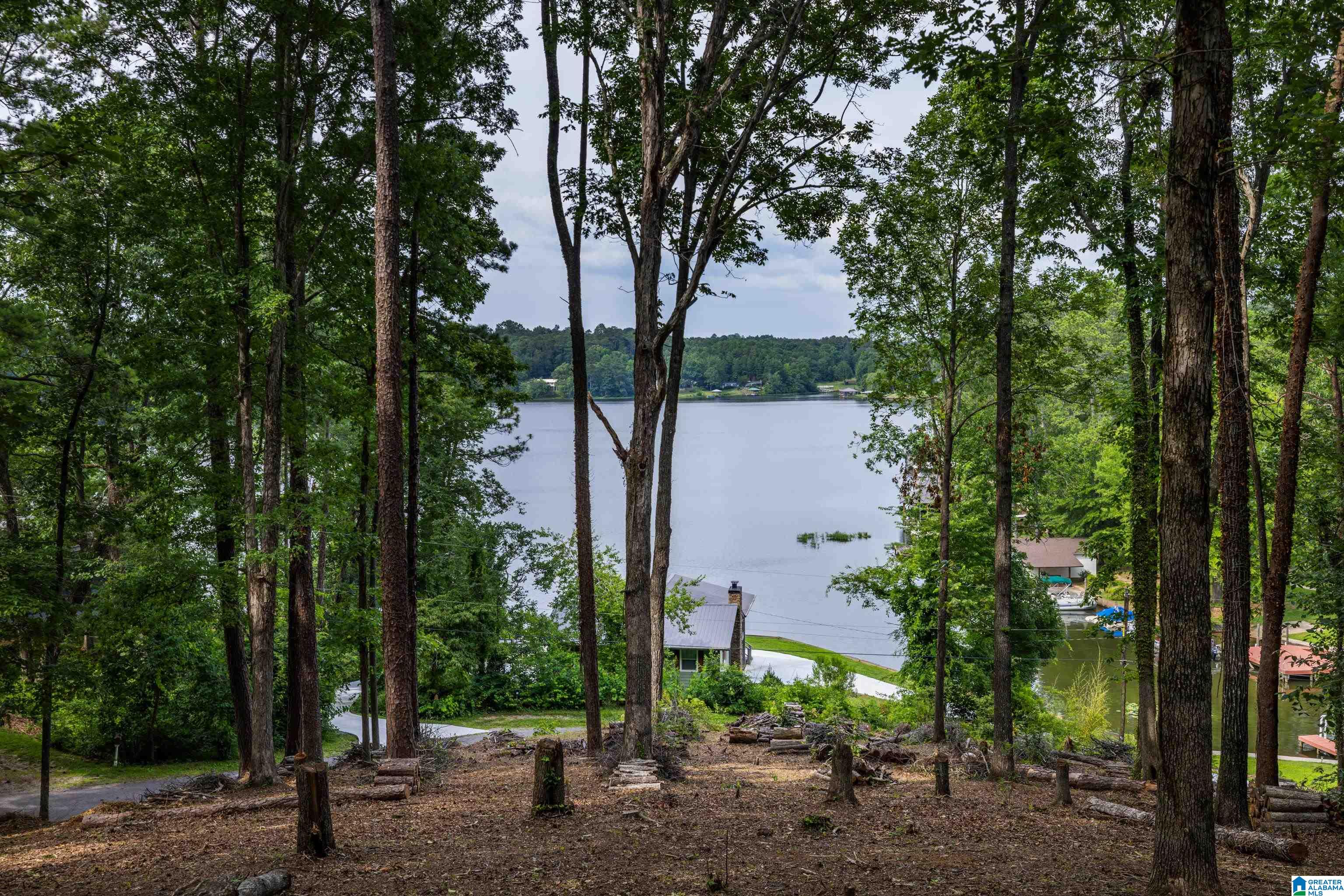 Photo 1 of 40 — 58 E SUNSET BOULEVARD 0, ONEONTA, AL 35121