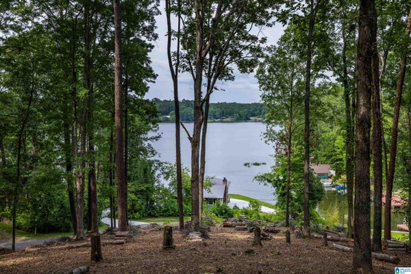 58 SUNSET PT # 0, ONEONTA, AL 35121 - Image 86f42b6c3e5862ce4e7f5682fe7775df/2155784407