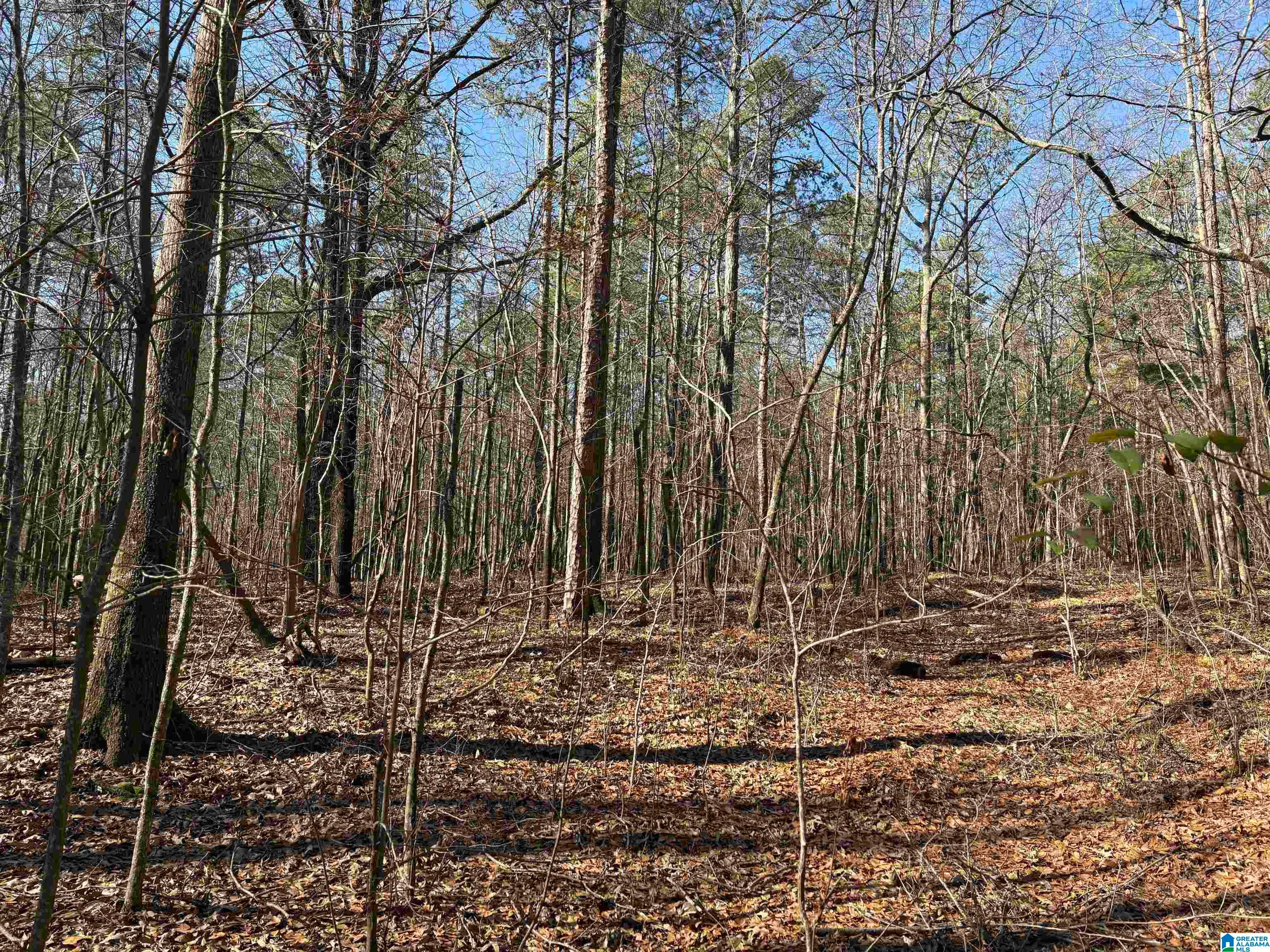 24+/- Acres COUNTY ROAD 71 1