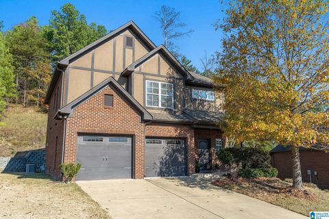 132 KINGSTON RIDGE BIRMINGHAM AL 35211