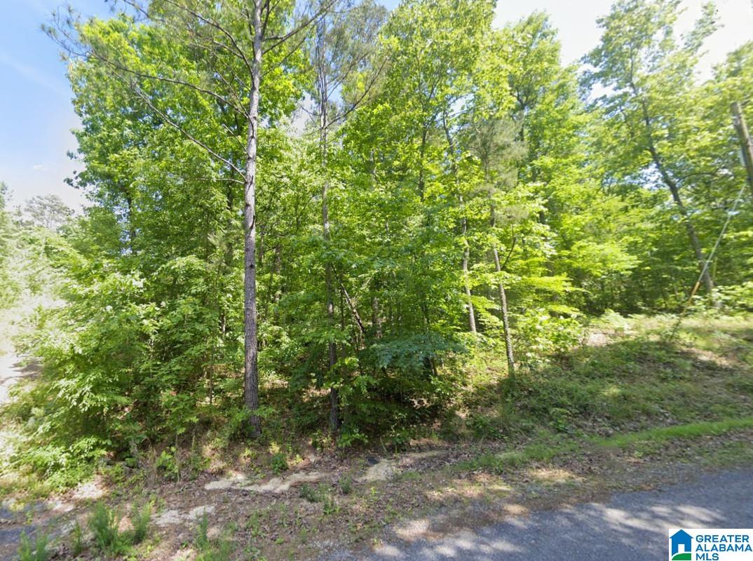 130 EVERGREEN DRIVE -