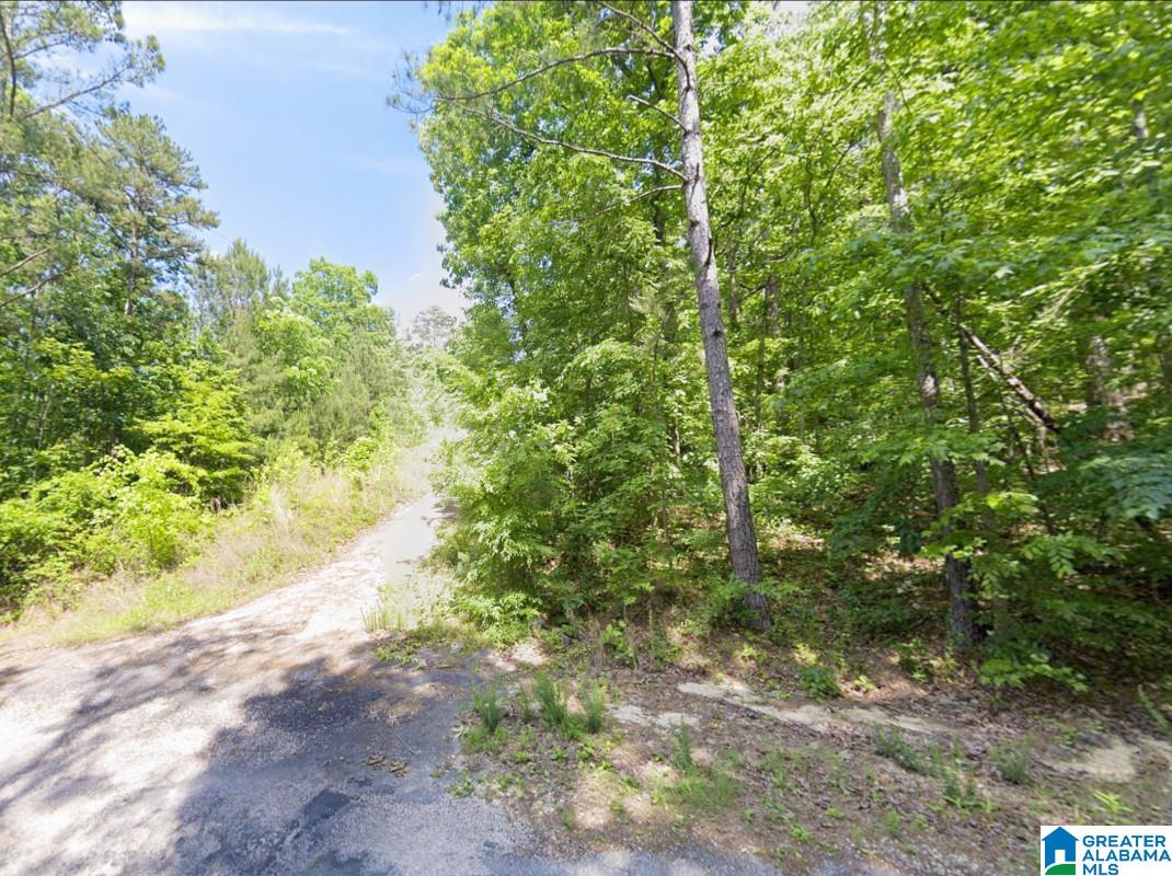 130 EVERGREEN DRIVE -