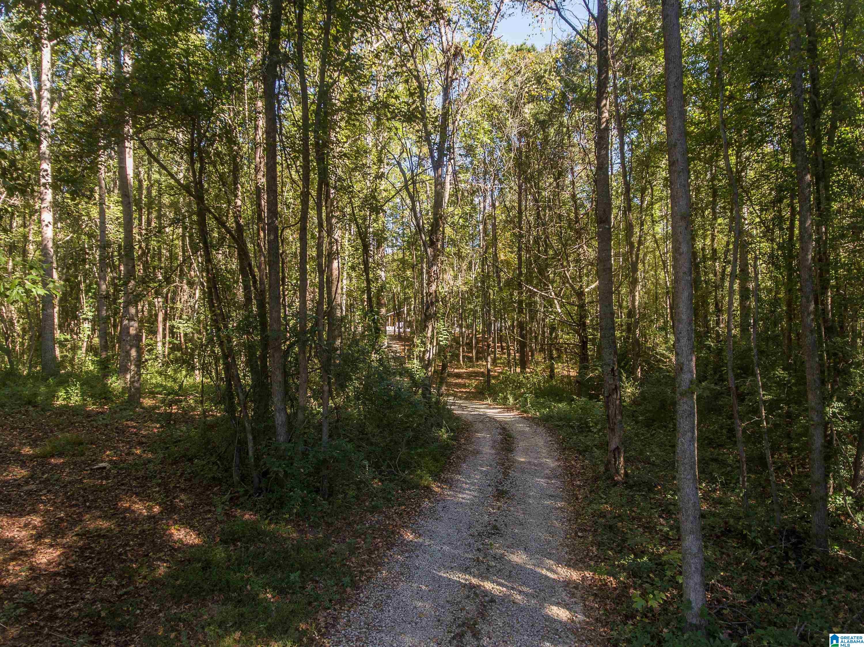 431 COUNTY ROAD 30 431