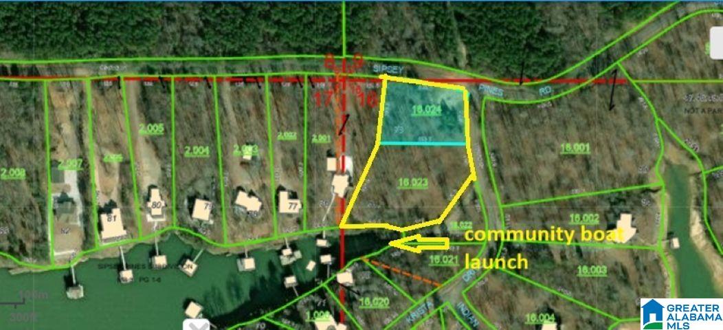 Lots 74, 75 SIPSEY PINES ROAD 74 and 75 - Photo 3