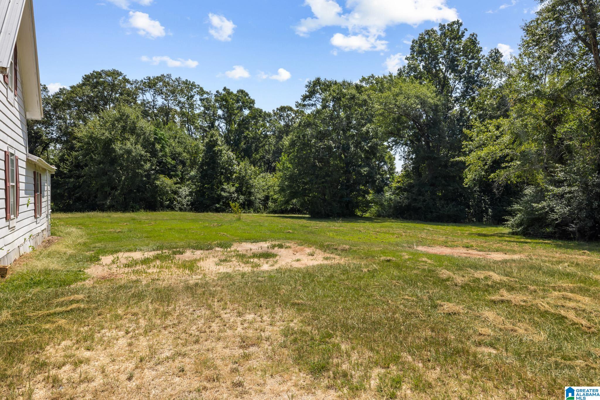 799 TUSCALOOSA ROAD - Photo 4