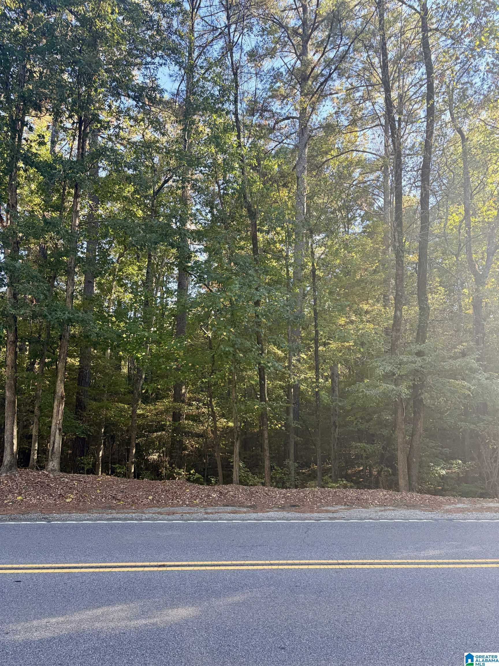 Lot 31 ROCK CREEK DRIVE 31